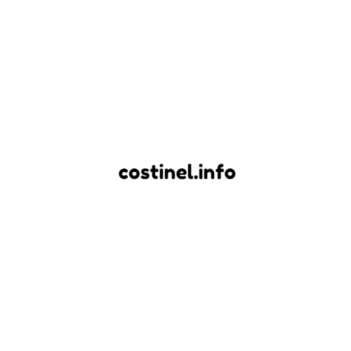 costinel.info